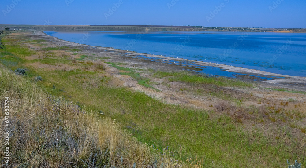 The shore of the salty Tiligul estuary is a nesting and feeding place for wild waterfowl The shore of the salty Tiligul estuary is a nesting and feeding place for wild waterfowl