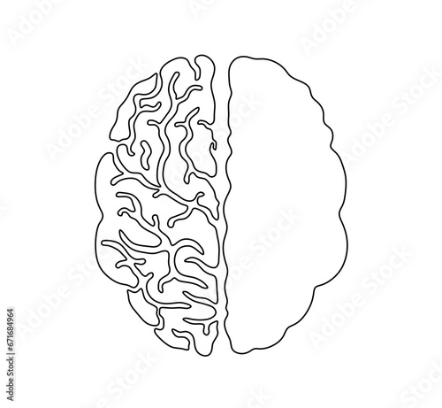 Vector isolated symmetrical brain with convolutions contour line drawing stencil