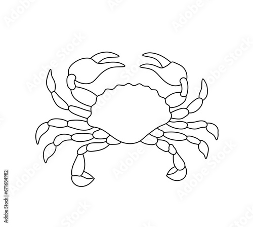 Vector isolated crab with claws top view symmetrical drawing