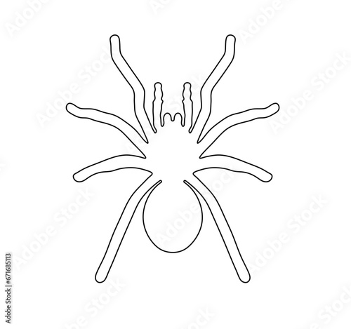 Vector isolated symmetrical tarantula spider contour line drawing stencil