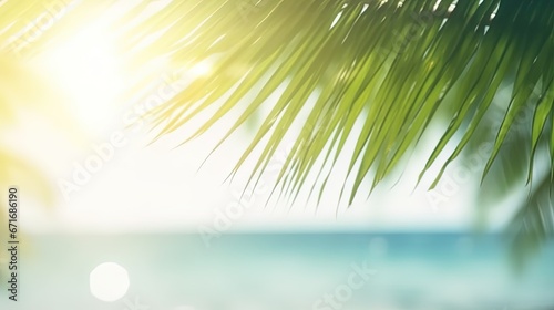 Blur beautiful nature green palm leaf on tropical beach with bokeh sun light wave abstract background.