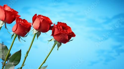 red tulips against blue sky HD 8K wallpaper Stock Photographic Image 