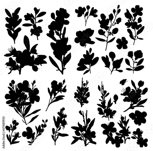 Blossom plant silhouettes
