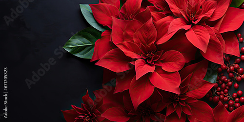 christmas bouquet with red poinsettia flowers, copy space 