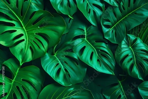 photo neon tropical monstera leaf banner © Irum