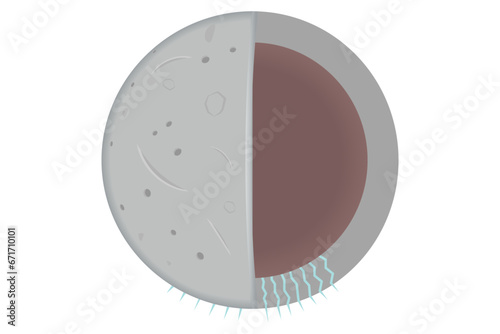 cross-section of a gray dwarf planet
