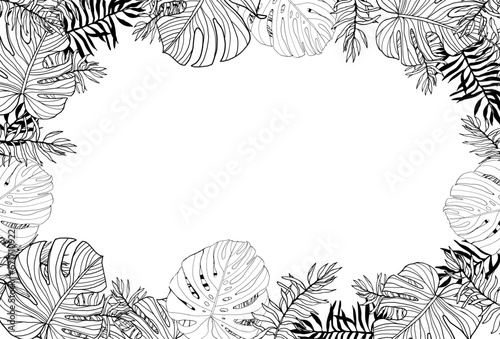Jangle monstera and palm leaves banner frame with tropical plant, hand drawn line art vector black and white background