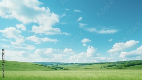 a beautiful cloudy blue sky with green field © Amena