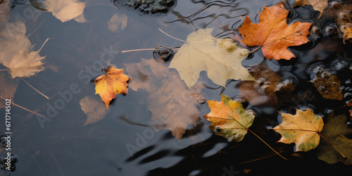 feuilles mortes qui flottent dans une flaque d'eau en automne photo