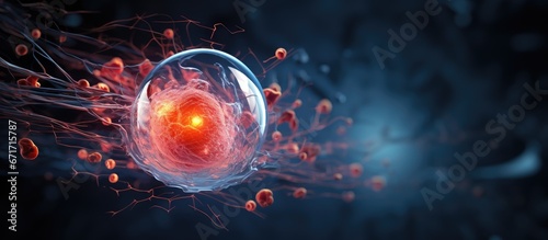 3D illustration of a human cell derived from an embryo photo