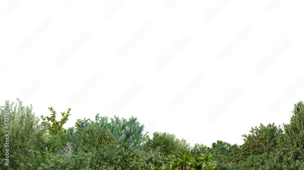 Foreground of various shrubs and flowers on transparent background 