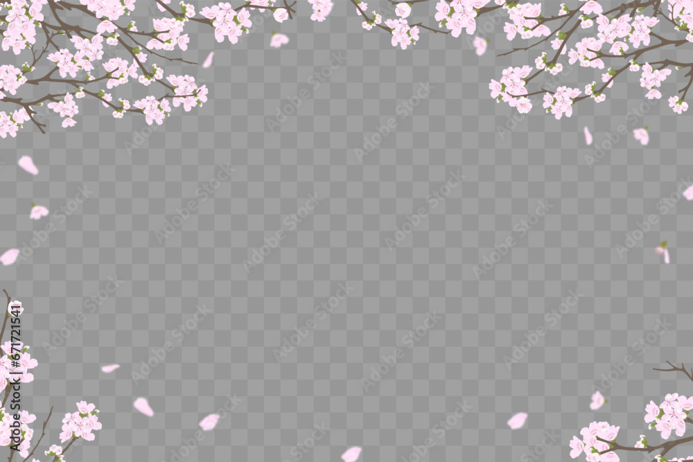 Spring Cherry blossom frame border on grey transparent background,Vector illustration Branches Pink sakura flower blooming on springtime with falling petals, Backdrop banner for Spring or Summer sale
