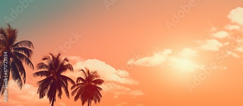 Sun shining down on palm trees