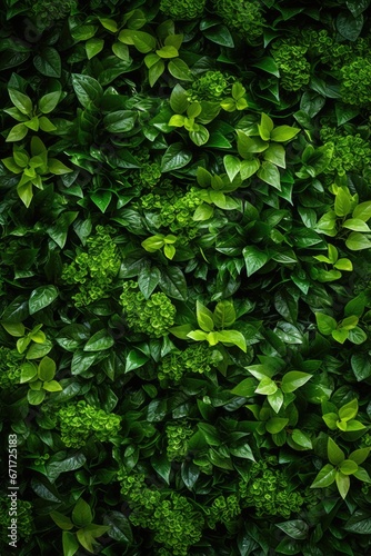 A close-up view of a bunch of vibrant green plants. Perfect for adding a touch of nature to any project or design