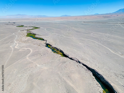 Salado River near Calama in the north of Chile - a crack with fresh water, lush green vegetation and even trouts crossing the otherwise bone dry Atacama desert - what a spectacular surprise by nature