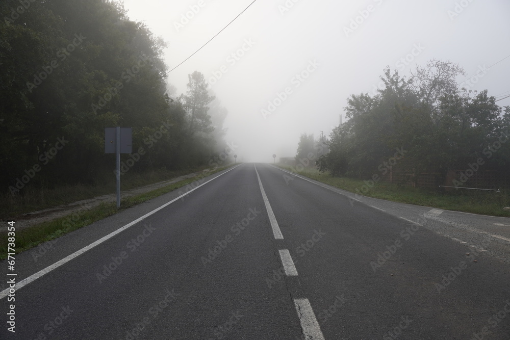 Panorámica carretera entre bosques con niebla