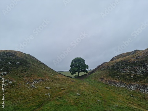 Hadrian,s Wall and Sycamore gap with the tree still standing on a cloudy day on a hiking and wild camping trip photo