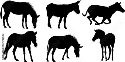 Fototapeta Naklejka Na Ścianę i Meble -  silueta, caballo, animal, vector, animal, 