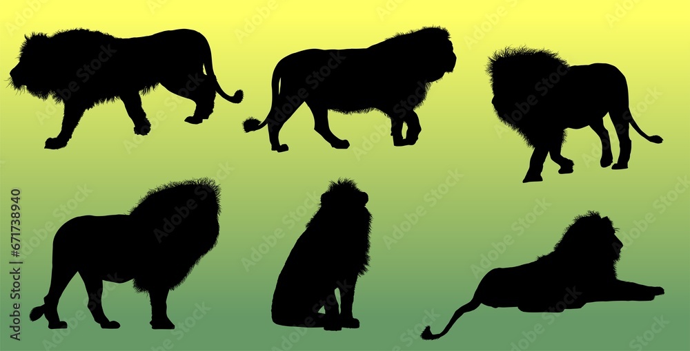 silueta, animal, , león