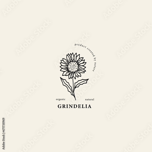 Line art grindelia flower illustration photo