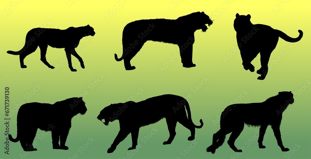 leones, silueta, animal, caballo, vector, animal