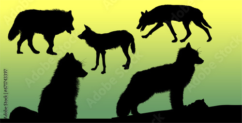 silueta, animal, perro, vector, zorro