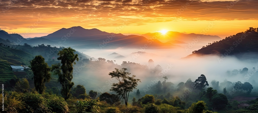 Obraz premium Captured and edited stunning sunrise fog in the jungle