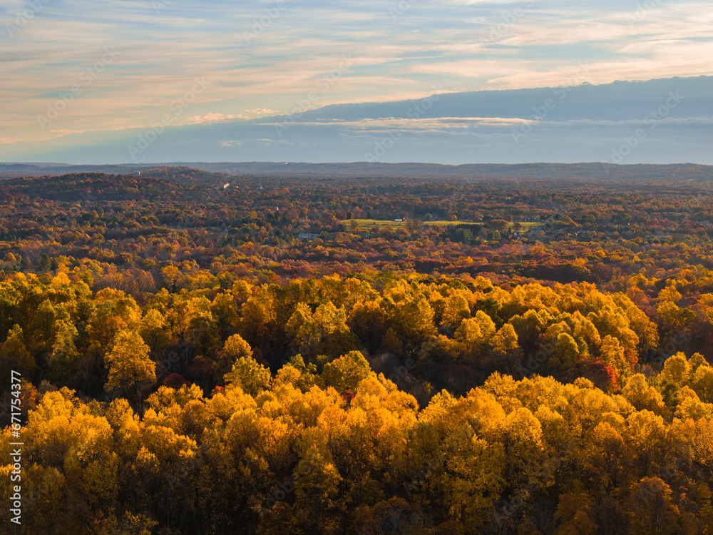 Yellow Trees and an autumn landscape from an aerial view