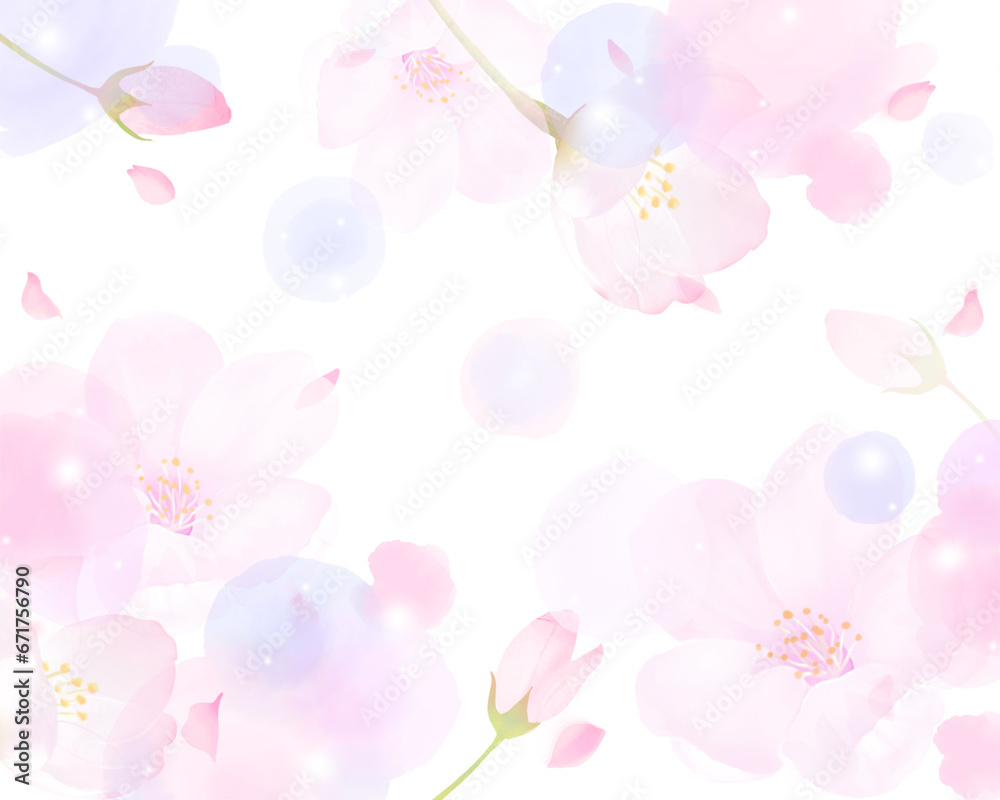 かわいい薄いピンク色の桜の花と花びら春の水彩白バックフレーム背景素材イラスト かわいい薄いピンク色の桜の花と花びら春の水彩白バックフレーム背景素材イラスト