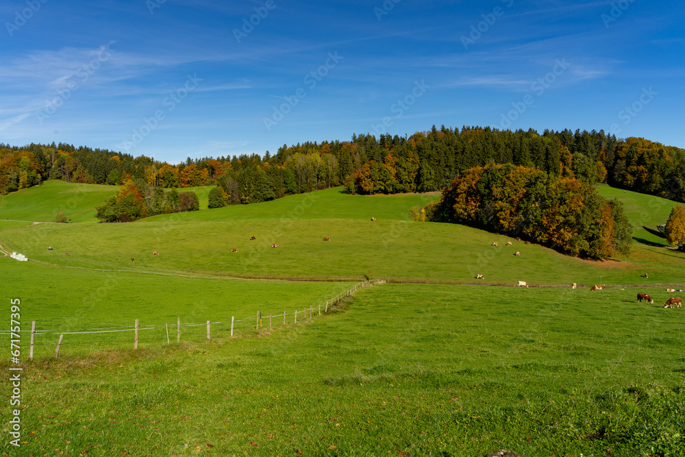 Die schöne Farbenfrohe Herbstnatur in Bayern 