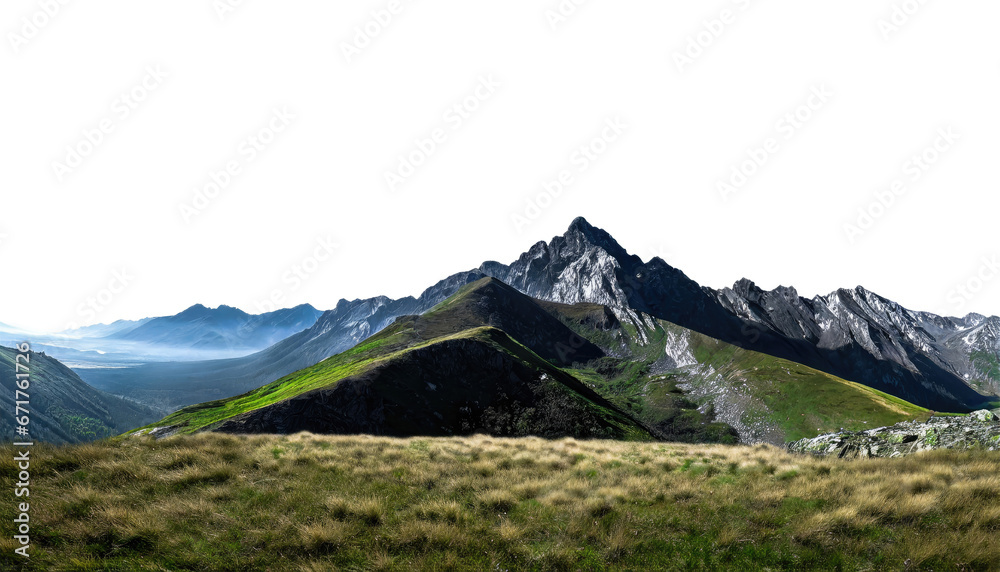 Panorama of a rocky mountain meadow with larch trees and mountain range in the background