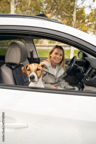 Travel with pet. Dog Jack Russell tarrier adorable face looks out of the open window of a white car. In the background  out of focus  a beautiful smiling blonde girl. Adventure mood vertical theme