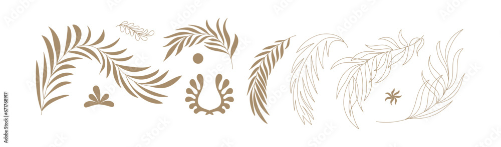 Vector set of logo design templates and graphic elements, organic cosmetic, floral illustration in simple linear hand drawn style, plants and flowers, palm leaves