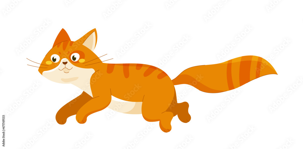 Cute orange cat vector Cute orange cat vector
