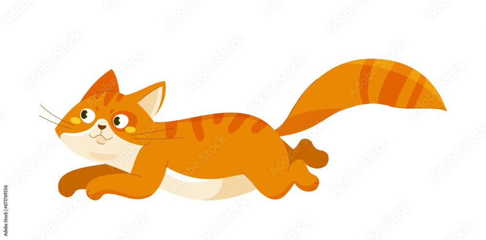 Cute orange cat vector