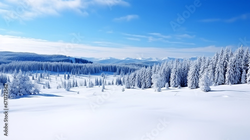  Stunning panorama of snowy landscape in winter in Black Forest - Snow winter wonderland snowscape with blue sky