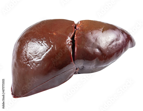 human liver anatomy isolated on white or transparent background .png.