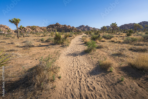 hiking the lost horse mine loop trail in joshua tree national park, california, usa