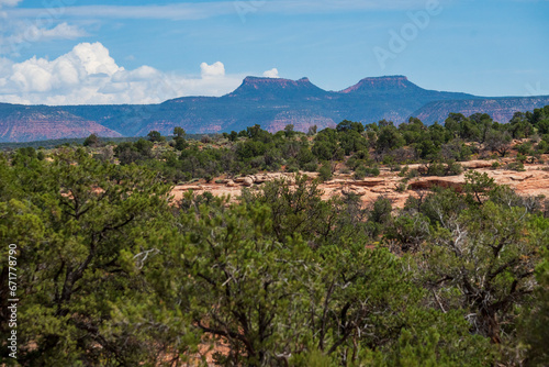 Bears Ears from Natural Bridges