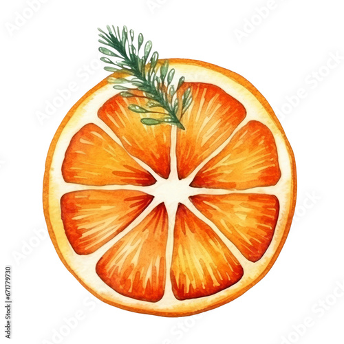 slice of orange isolated