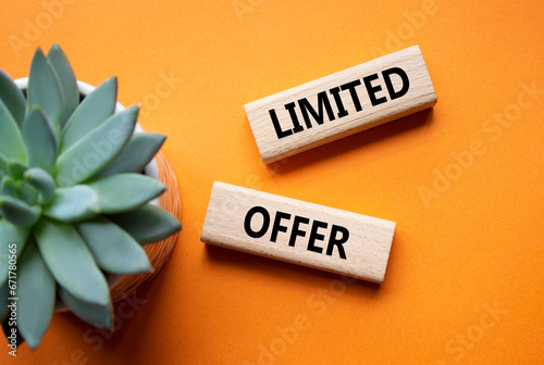 Limited Offer symbol. Concept word Limited Offer on wooden blocks. Beautiful orange background with succulent plant. Business and Limited Offer concept. Copy space
