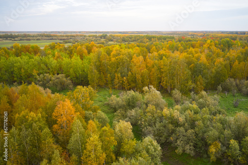 Aerial view of the autumn forest of Western Siberia among the swamps at sunset. Filming from a drone.