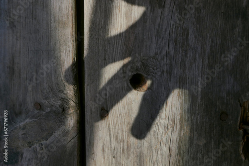 shadow of a man's hand on a dark wooden background