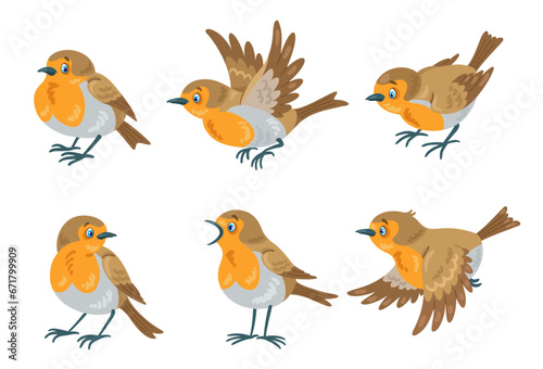 Set of six red robin birds in different poses, flying and sitting. In cartoon style. Isolated on white background. Vector flat illustration.