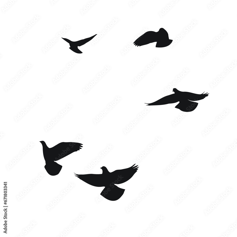 Fototapeta premium Silhouette sketch of a flock of flying birds, flight in different positions. Hover, soaring, landing, flying, flutter