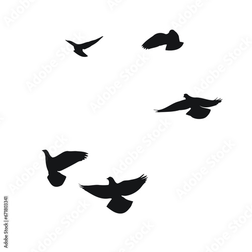 Silhouette sketch of a flock of flying birds, flight in different positions. Hover, soaring, landing, flying, flutter