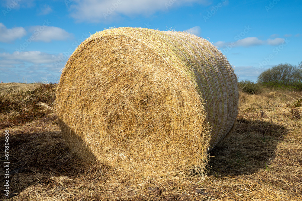 Ein Rundballen Heu auf einem Feld Ein Rundballen Heu auf einem Feld