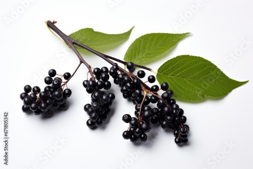 A Bunch of Fresh Blackberries on a Clean White Surface Created With Generative AI Technology