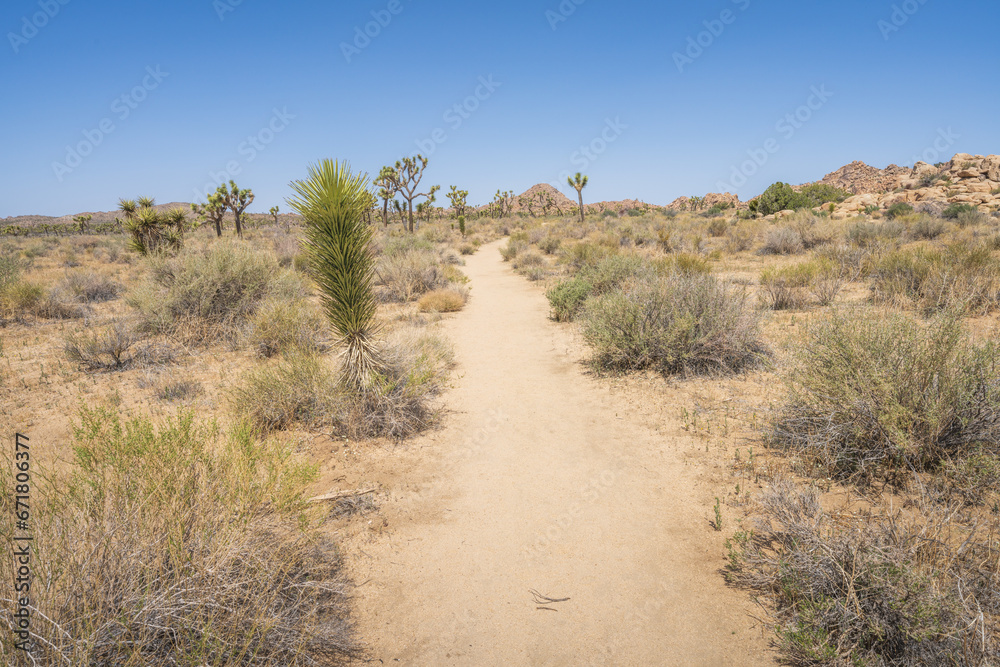 hiking the lost horse mine loop trail in joshua tree national park, california, usa hiking the lost horse mine loop trail in joshua tree national park, california, usa