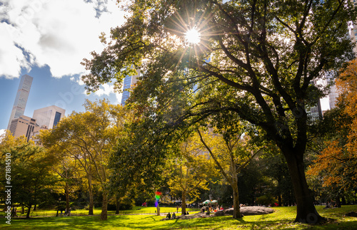 Sun peeking through the tree at Central Park, New York featuring fall golden color